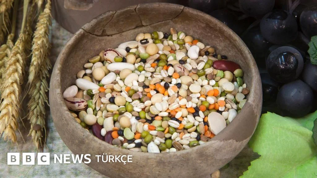 Ata tohumu eski tahıllar düşünüldüğü kadar sağlığa yararlı mı?
